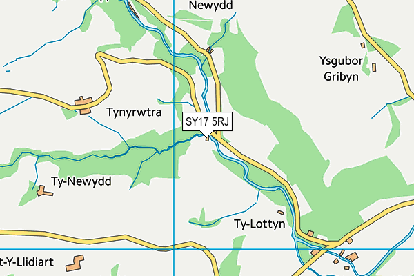 SY17 5RJ map - OS VectorMap District (Ordnance Survey) SY17 5RJ map - OS VectorMap District (Ordnance Survey)