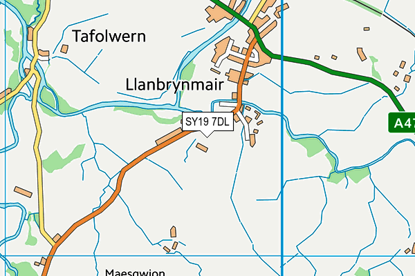 SY19 7DL map - OS VectorMap District (Ordnance Survey)