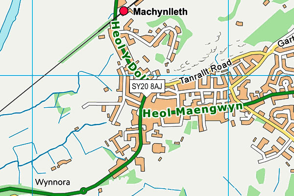 SY20 8AJ map - OS VectorMap District (Ordnance Survey) SY20 8AJ map - OS VectorMap District (Ordnance Survey)