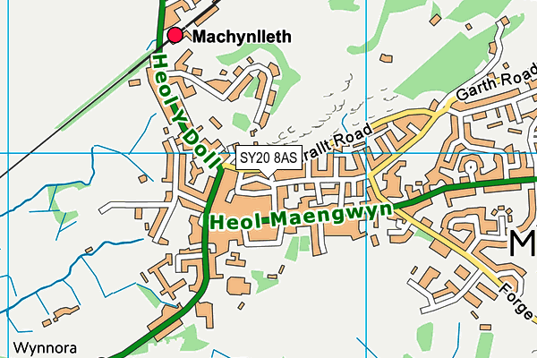 SY20 8AS map - OS VectorMap District (Ordnance Survey) SY20 8AS map - OS VectorMap District (Ordnance Survey)