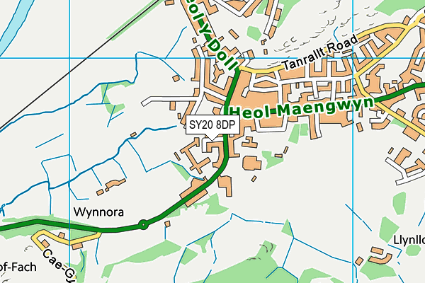 SY20 8DP map - OS VectorMap District (Ordnance Survey) SY20 8DP map - OS VectorMap District (Ordnance Survey)