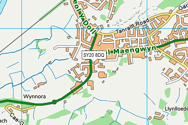 SY20 8DQ map - OS VectorMap District (Ordnance Survey) SY20 8DQ map - OS VectorMap District (Ordnance Survey)