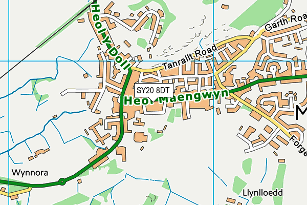 SY20 8DT map - OS VectorMap District (Ordnance Survey)