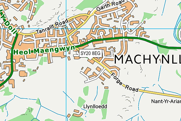SY20 8EG map - OS VectorMap District (Ordnance Survey) SY20 8EG map - OS VectorMap District (Ordnance Survey)