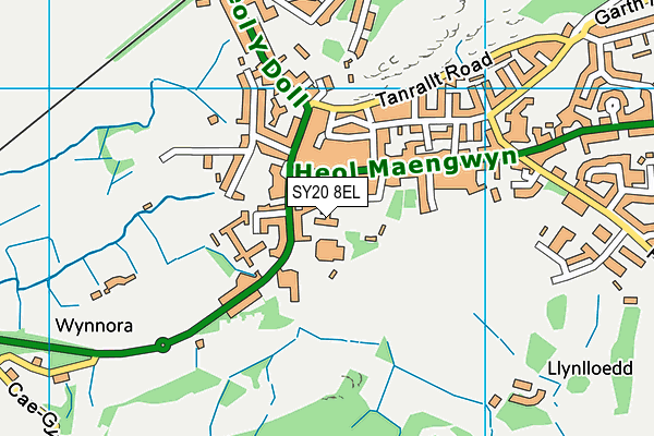 SY20 8EL map - OS VectorMap District (Ordnance Survey) SY20 8EL map - OS VectorMap District (Ordnance Survey)