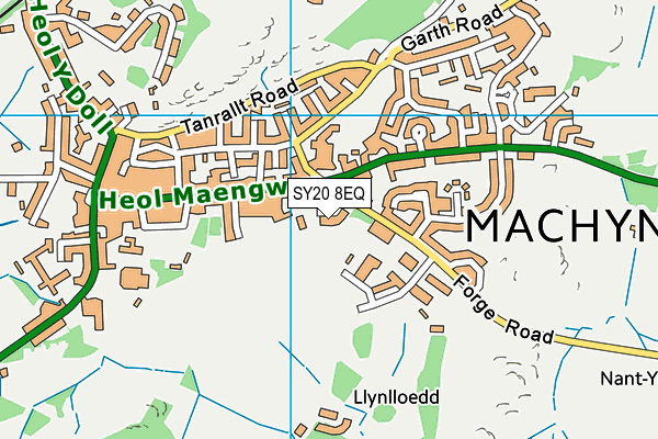 SY20 8EQ map - OS VectorMap District (Ordnance Survey) SY20 8EQ map - OS VectorMap District (Ordnance Survey)