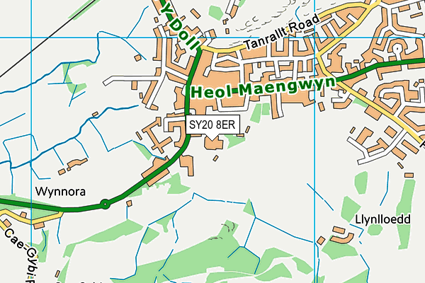 SY20 8ER map - OS VectorMap District (Ordnance Survey) SY20 8ER map - OS VectorMap District (Ordnance Survey)