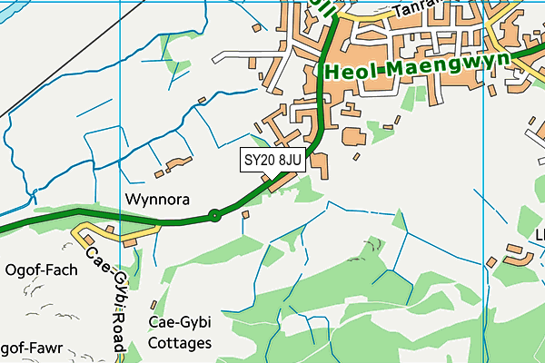 SY20 8JU map - OS VectorMap District (Ordnance Survey) SY20 8JU map - OS VectorMap District (Ordnance Survey)