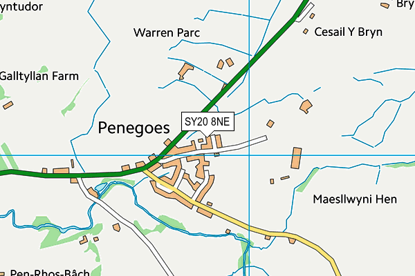 SY20 8NE map - OS VectorMap District (Ordnance Survey) SY20 8NE map - OS VectorMap District (Ordnance Survey)