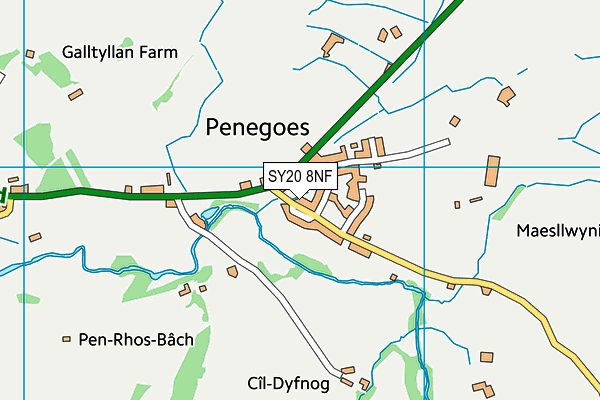SY20 8NF map - OS VectorMap District (Ordnance Survey) SY20 8NF map - OS VectorMap District (Ordnance Survey)