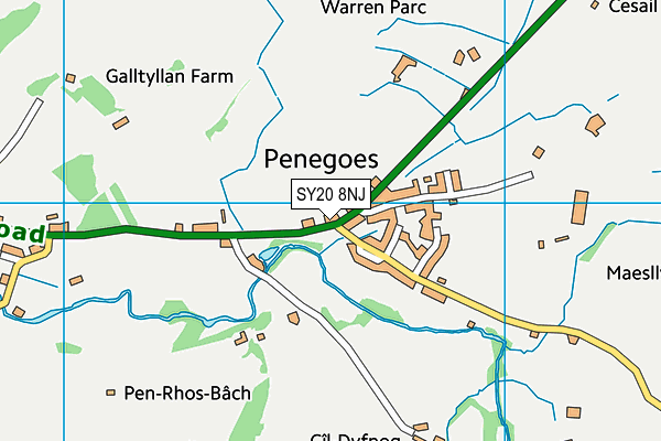 SY20 8NJ map - OS VectorMap District (Ordnance Survey) SY20 8NJ map - OS VectorMap District (Ordnance Survey)