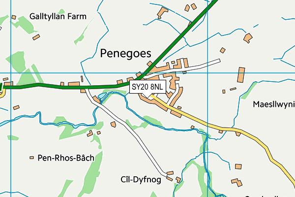 SY20 8NL map - OS VectorMap District (Ordnance Survey) SY20 8NL map - OS VectorMap District (Ordnance Survey)