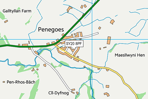 SY20 8PF map - OS VectorMap District (Ordnance Survey) SY20 8PF map - OS VectorMap District (Ordnance Survey)