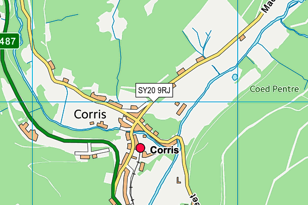SY20 9RJ map - OS VectorMap District (Ordnance Survey) SY20 9RJ map - OS VectorMap District (Ordnance Survey)