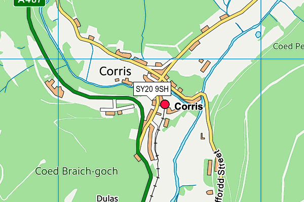 SY20 9SH map - OS VectorMap District (Ordnance Survey) SY20 9SH map - OS VectorMap District (Ordnance Survey)