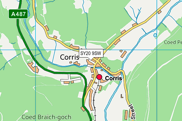 SY20 9SW map - OS VectorMap District (Ordnance Survey) SY20 9SW map - OS VectorMap District (Ordnance Survey)