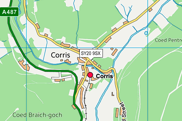 SY20 9SX map - OS VectorMap District (Ordnance Survey) SY20 9SX map - OS VectorMap District (Ordnance Survey)