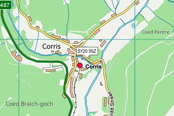 SY20 9SZ map - OS VectorMap District (Ordnance Survey)