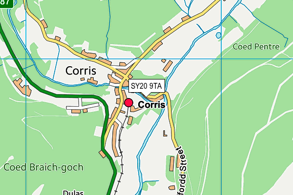 SY20 9TA map - OS VectorMap District (Ordnance Survey) SY20 9TA map - OS VectorMap District (Ordnance Survey)
