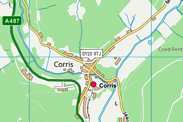 SY20 9TJ map - OS VectorMap District (Ordnance Survey)