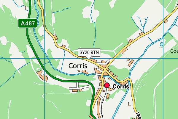 SY20 9TN map - OS VectorMap District (Ordnance Survey) SY20 9TN map - OS VectorMap District (Ordnance Survey)