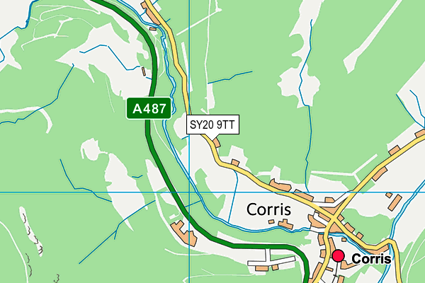 SY20 9TT map - OS VectorMap District (Ordnance Survey) SY20 9TT map - OS VectorMap District (Ordnance Survey)