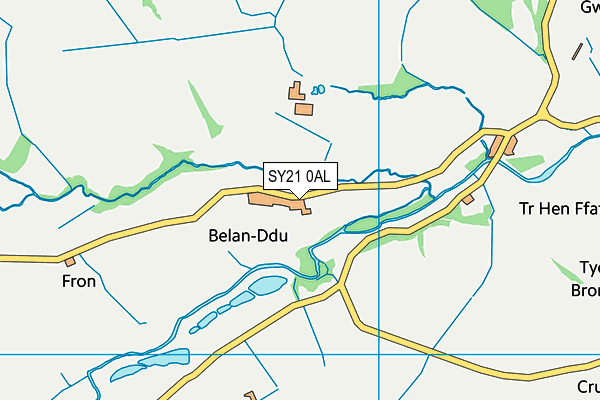 SY21 0AL map - OS VectorMap District (Ordnance Survey) SY21 0AL map - OS VectorMap District (Ordnance Survey)