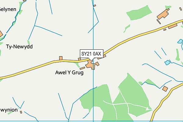 SY21 0AX map - OS VectorMap District (Ordnance Survey) SY21 0AX map - OS VectorMap District (Ordnance Survey)