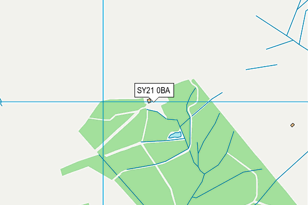 SY21 0BA map - OS VectorMap District (Ordnance Survey) SY21 0BA map - OS VectorMap District (Ordnance Survey)
