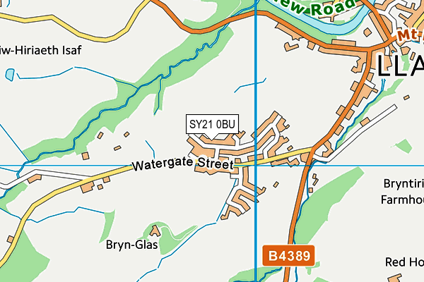 SY21 0BU map - OS VectorMap District (Ordnance Survey) SY21 0BU map - OS VectorMap District (Ordnance Survey)
