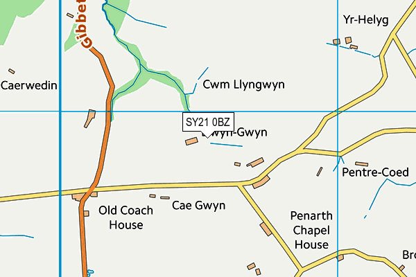 SY21 0BZ map - OS VectorMap District (Ordnance Survey) SY21 0BZ map - OS VectorMap District (Ordnance Survey)