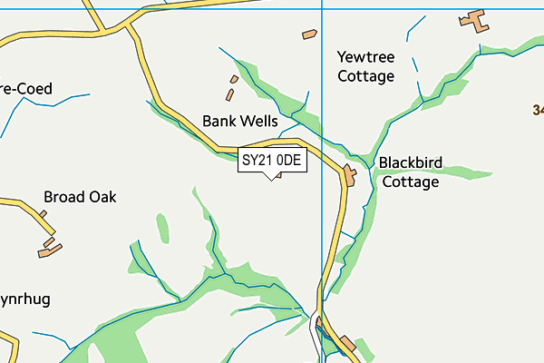 SY21 0DE map - OS VectorMap District (Ordnance Survey) SY21 0DE map - OS VectorMap District (Ordnance Survey)