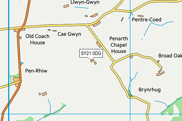 SY21 0DG map - OS VectorMap District (Ordnance Survey) SY21 0DG map - OS VectorMap District (Ordnance Survey)