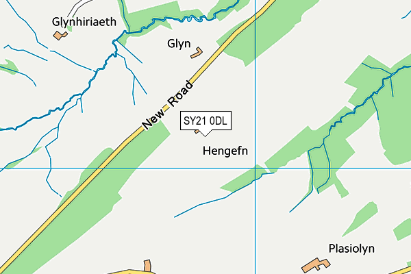 SY21 0DL map - OS VectorMap District (Ordnance Survey) SY21 0DL map - OS VectorMap District (Ordnance Survey)