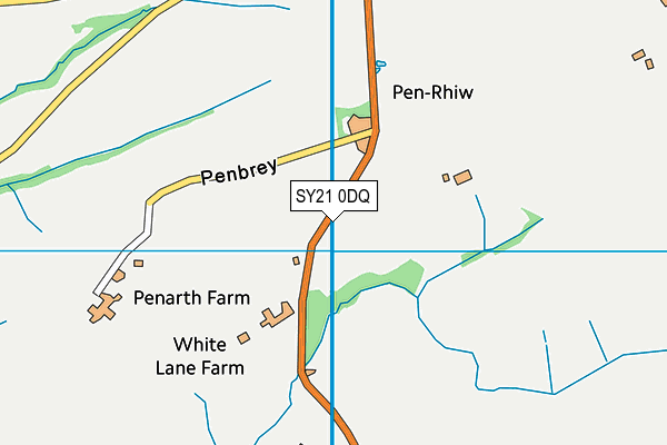 SY21 0DQ map - OS VectorMap District (Ordnance Survey) SY21 0DQ map - OS VectorMap District (Ordnance Survey)