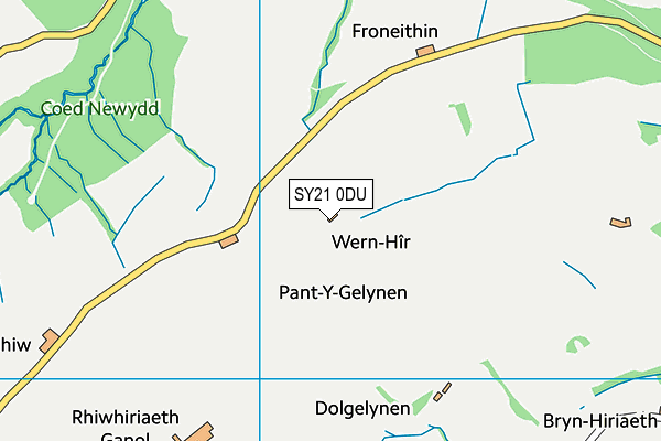 SY21 0DU map - OS VectorMap District (Ordnance Survey)