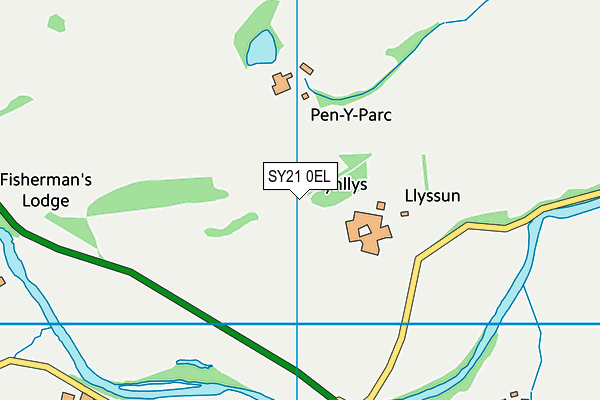 SY21 0EL map - OS VectorMap District (Ordnance Survey) SY21 0EL map - OS VectorMap District (Ordnance Survey)