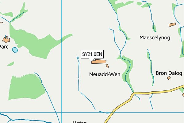 SY21 0EN map - OS VectorMap District (Ordnance Survey) SY21 0EN map - OS VectorMap District (Ordnance Survey)