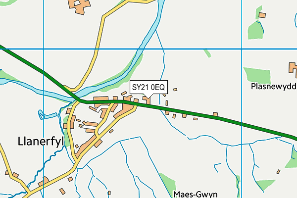 SY21 0EQ map - OS VectorMap District (Ordnance Survey) SY21 0EQ map - OS VectorMap District (Ordnance Survey)