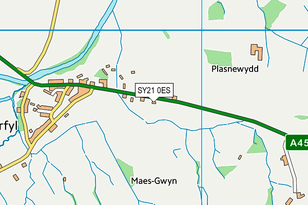 SY21 0ES map - OS VectorMap District (Ordnance Survey) SY21 0ES map - OS VectorMap District (Ordnance Survey)