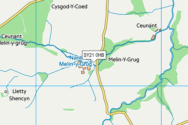 SY21 0HB map - OS VectorMap District (Ordnance Survey) SY21 0HB map - OS VectorMap District (Ordnance Survey)