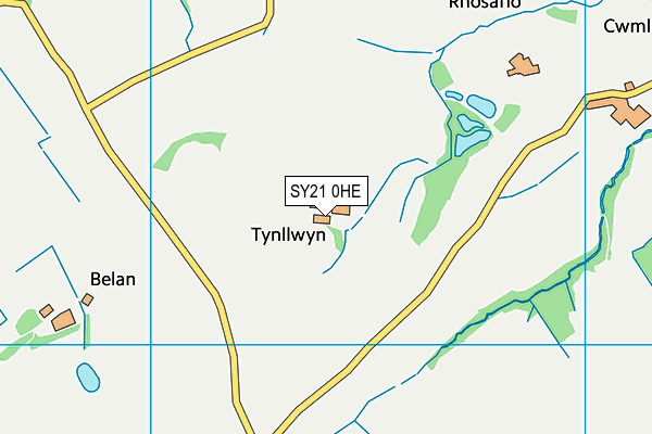 SY21 0HE map - OS VectorMap District (Ordnance Survey) SY21 0HE map - OS VectorMap District (Ordnance Survey)