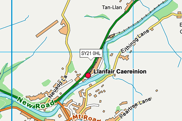 SY21 0HL map - OS VectorMap District (Ordnance Survey) SY21 0HL map - OS VectorMap District (Ordnance Survey)