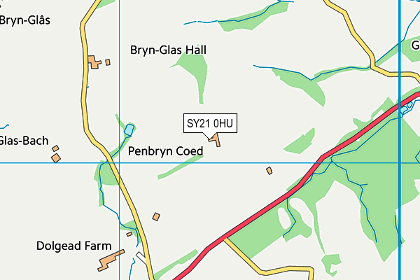 SY21 0HU map - OS VectorMap District (Ordnance Survey) SY21 0HU map - OS VectorMap District (Ordnance Survey)