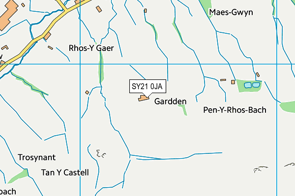 SY21 0JA map - OS VectorMap District (Ordnance Survey) SY21 0JA map - OS VectorMap District (Ordnance Survey)