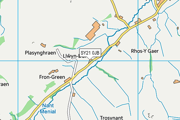 SY21 0JB map - OS VectorMap District (Ordnance Survey) SY21 0JB map - OS VectorMap District (Ordnance Survey)