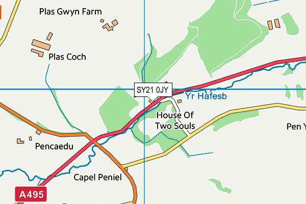 SY21 0JY map - OS VectorMap District (Ordnance Survey)