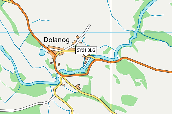 SY21 0LG map - OS VectorMap District (Ordnance Survey) SY21 0LG map - OS VectorMap District (Ordnance Survey)