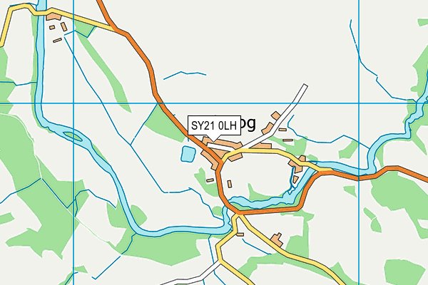 SY21 0LH map - OS VectorMap District (Ordnance Survey) SY21 0LH map - OS VectorMap District (Ordnance Survey)
