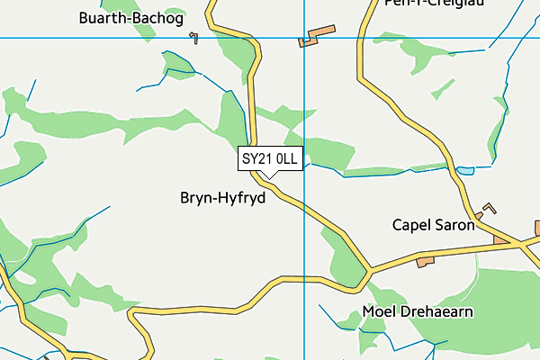SY21 0LL map - OS VectorMap District (Ordnance Survey) SY21 0LL map - OS VectorMap District (Ordnance Survey)